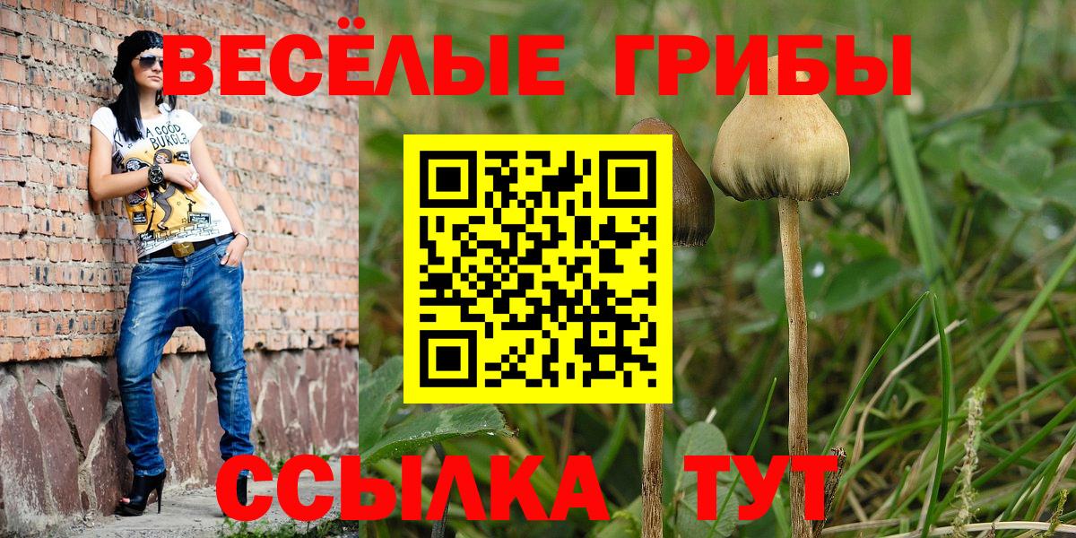 Кудымкар  Псилоцибиновые грибы мухоморы  Вход с VPN 