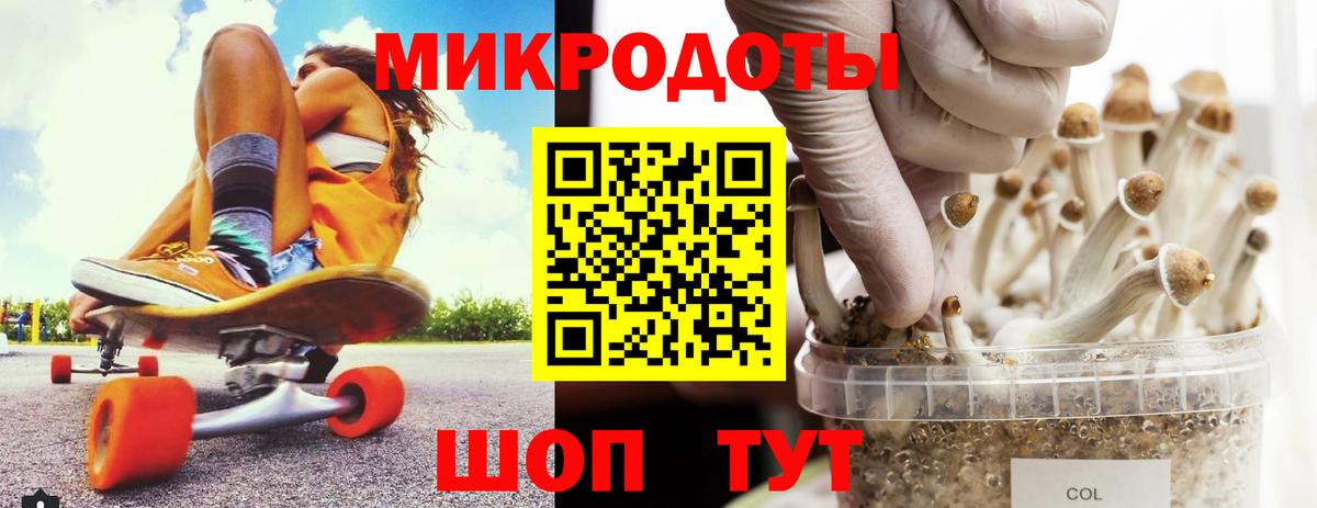 Псилоцибиновые грибы мухоморы Кудымкар